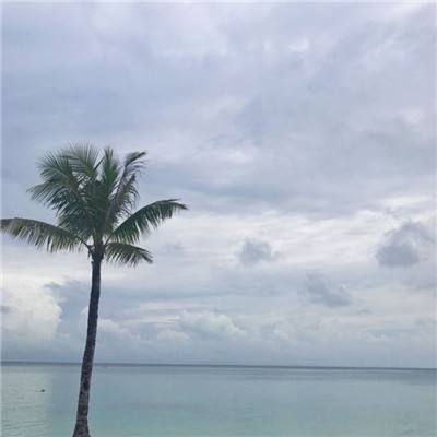 云梦仙缘手游下载