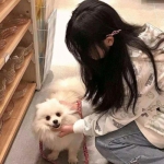 沧海仙踪破解游戏下载
